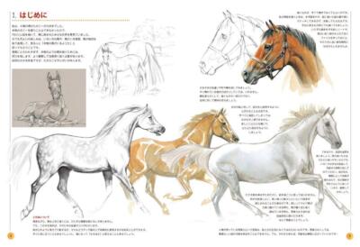 HORSE: A Gentle Guide to Drawing Horses Book Japanese Jennifer Bell