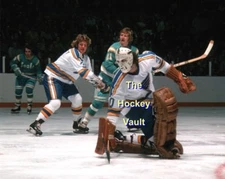 St. Louis BLUES John DAVIDSON & Bob GASSOFF w/Stan WEIR SEALS Action CUSTOM 8X10