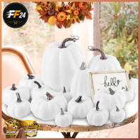 KüRbis Herbst Deko 16 StüCk Mini Weiß ZierküRbisse FüR DraußEn Halloween