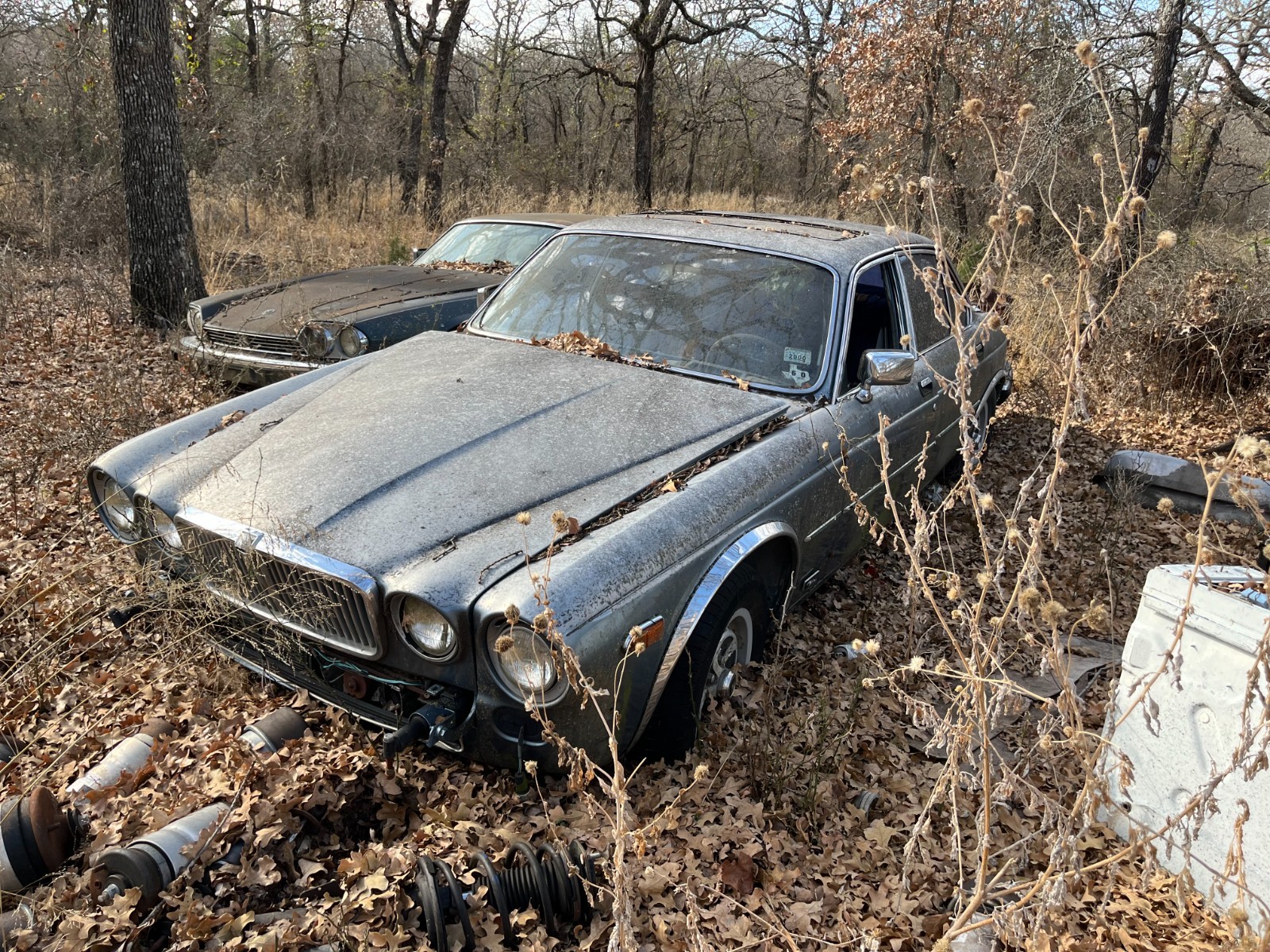 1987 Jaguar XJ6 for sale in Southlake Texas