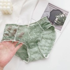 2pcs Women Lace Knickers See Through Briefs Panties Underwear Thin Floral Cute