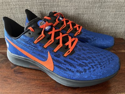 nike pegasus florida gators