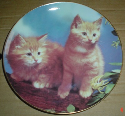 Danbury Mint Sammlerteller SUGAR AND SPICE Kätzchen Katze