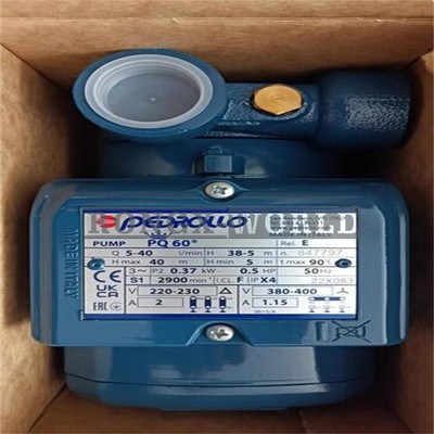 1x NEW PEDROLLO PQ60 380V Water Pump
