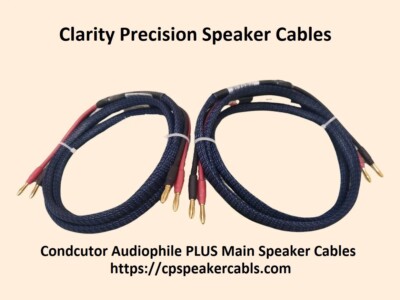 Clarity Precision Conductor Audiophile PLUS Main Speaker Cables - 8 ft. Handmade