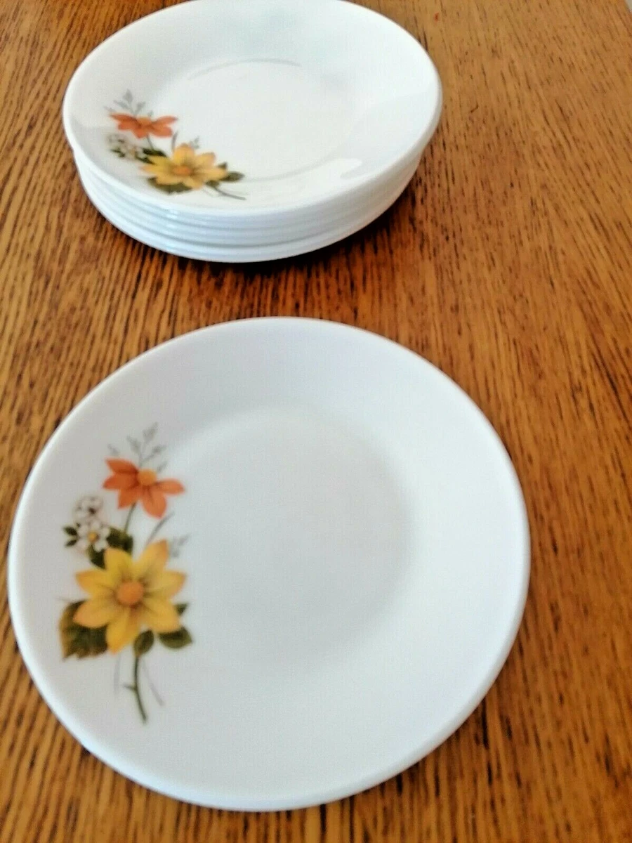 Pyrex plates deals