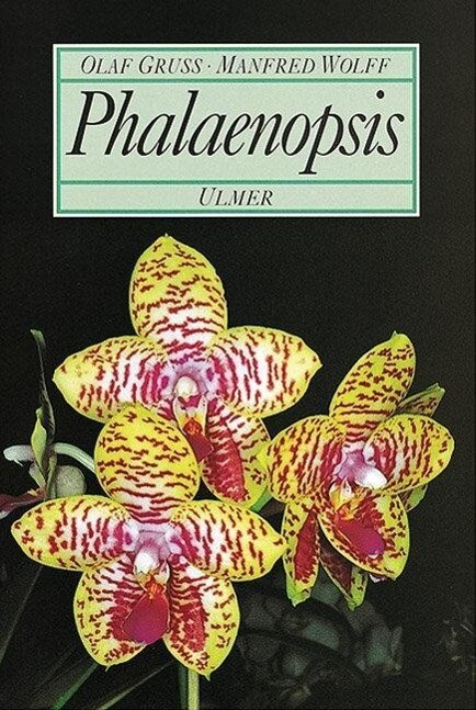 Thumbnail - Phalaenopsis | Buch | 9783800165513