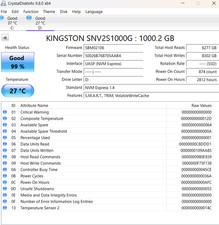Kingston NV2 1TB M.2 NVMe Internal SSD (SNV2S/1000G) (99% Health)