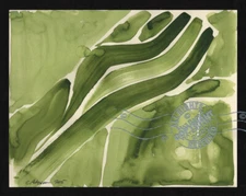 Green Melt 2015 C Peterson * Abstract * Watercolor Painting Botanitcal Gardens