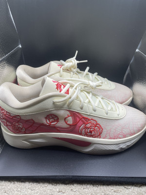 Nike Giannis Freak 6 NRG Roses Coconut Milk Aster Pink FV1295-100 Men's Size 10