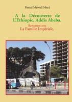 Pascal Mace | A La DéCouverte De L'ethiopie, Addis Abeba. Rencontre Avec La...
