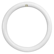 Feit Electric LED Circular Bulb,2000 lm,20W,12" dia. FC12/840/LED Feit Electric