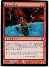 Ignorant Bliss FOIL Japanese x1 Dissension mtg SP