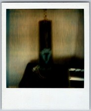 Vtg Polaroid Snapshot Photo Hanging Pendant Banner Wall Decor Still Life