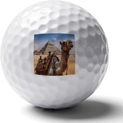 Pyramid Camel Golf Balls Golf Balls for Men Golf Ball Bulk Callaway Golf Balls R