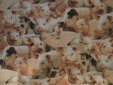 Cotton Quilt Fabric Novelty Print Packed Pigs Half Yard Fabric Traditions 2007