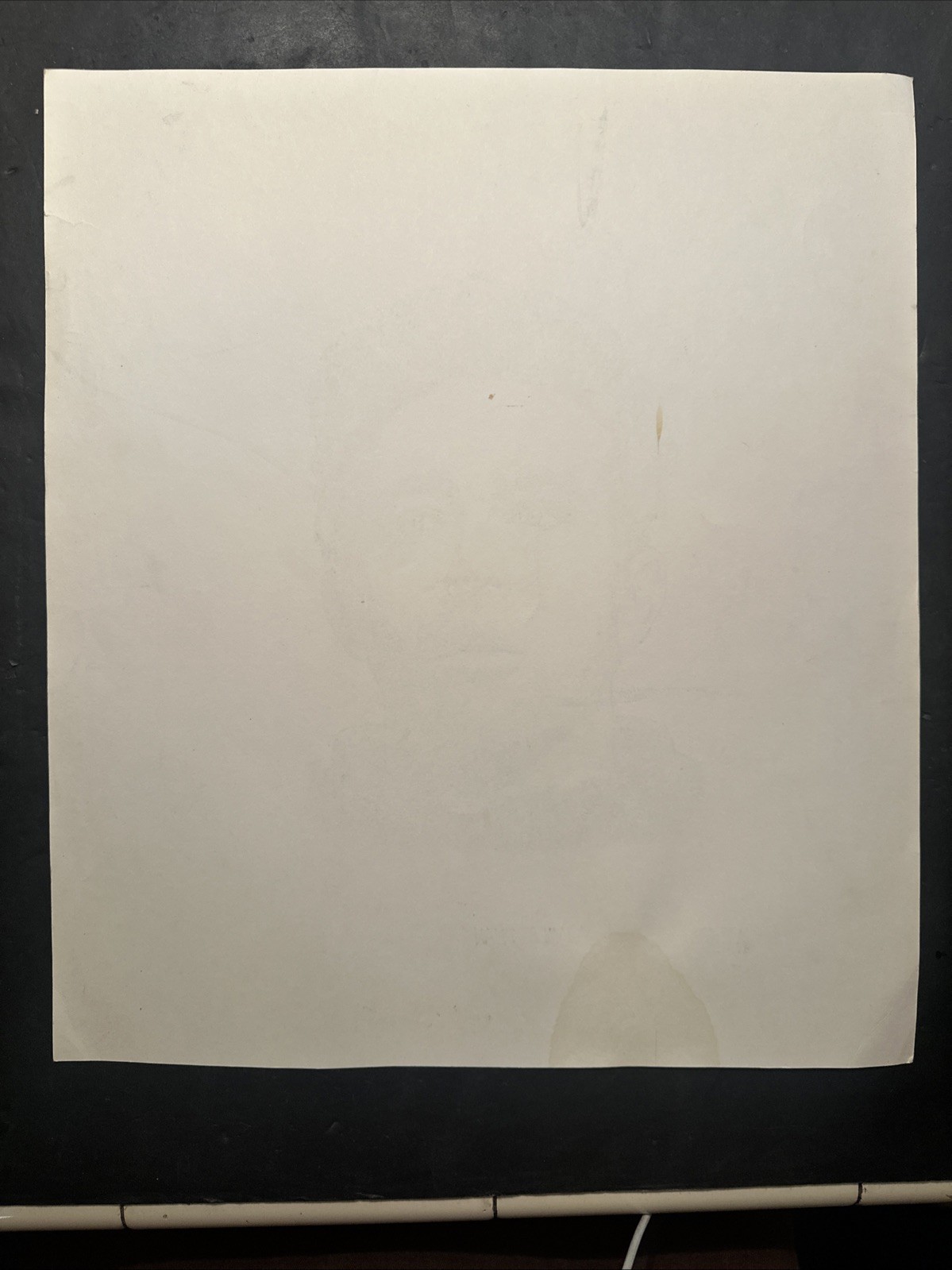 Picture 13 of 13