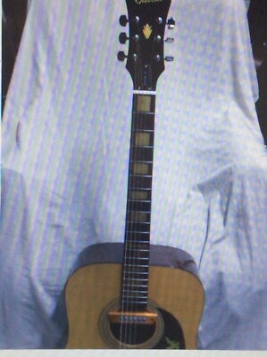 SALE**** Epiphone PR-150-NA Acous/Elect Guitar with Gig Bag, Excellent Condition