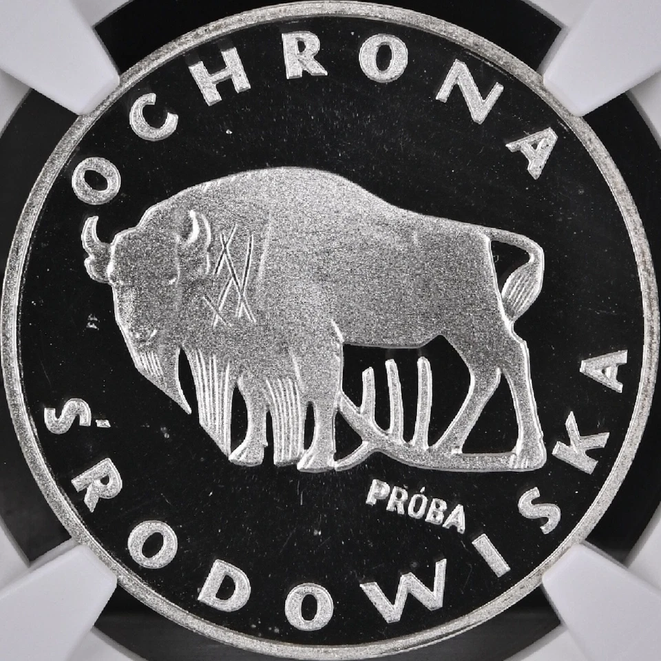 POLONIA. 1977, 100 Zlotych, Plata - NGC PF67 - Bisonte Europeo, RARO PROBADO Foto 3 de 4