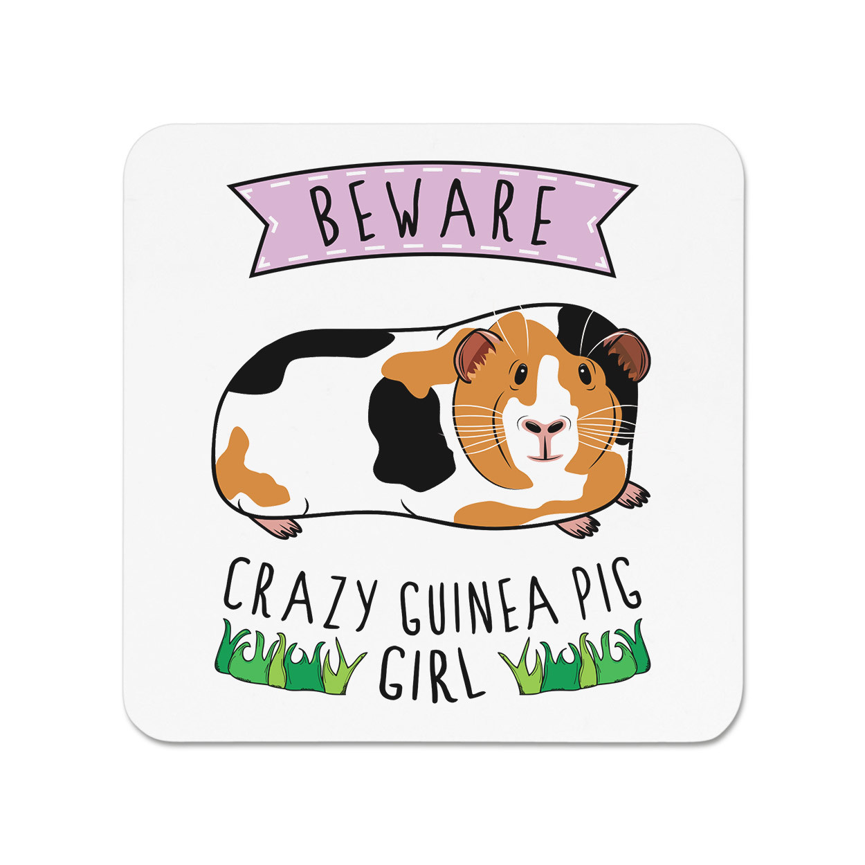 Beware Crazy Guinea Pig Girl Fridge Magnet - Funny Animal Pet