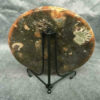 Amanite Fossil Crystal Quartz Stand With Metal Holder For Ammonite Fossil, Conch Specimen, Or Healing Stones - Black Ammonite Fossil Display - Foto 11