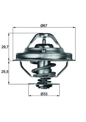 Mahle TX 38 80D Thermostat, KüHlmittel FüR Bmw,Land Rover,Opel,Rover,Vauxhall-image