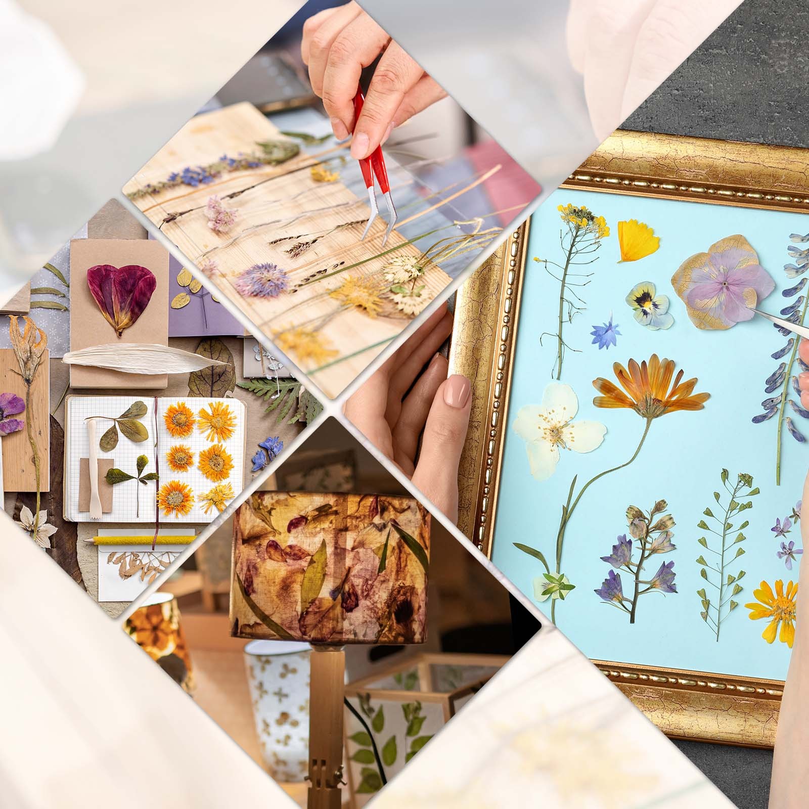 36 Pcs Dried Pressed Flower Leaves Bulk for Resin, Beige