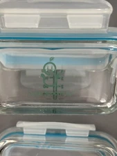 Sage Spoonful Baby Food Durable Glass Containers With Lids , 6 PCs