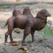 Camelus Bactrianus Model Wild Animal Figure Collector Decor Bactrian Camel