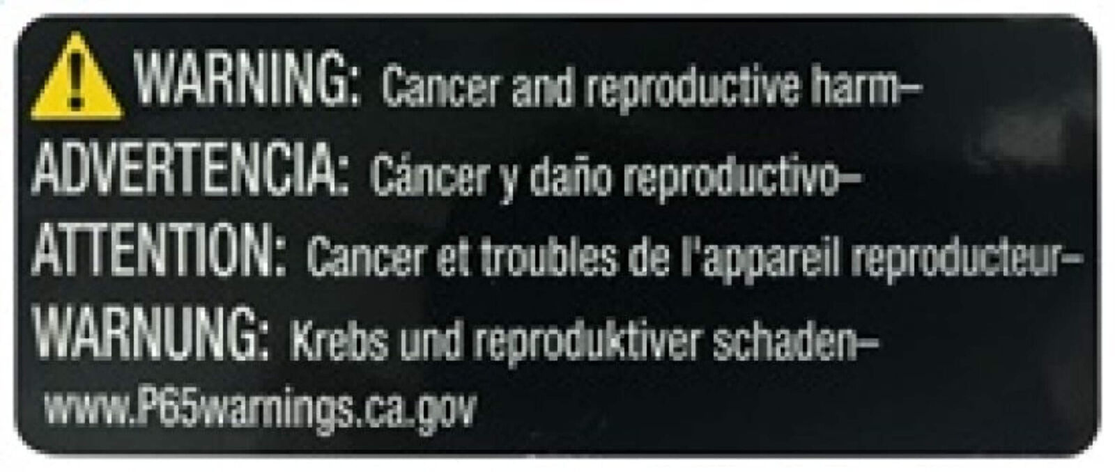 Foto 5 di 7