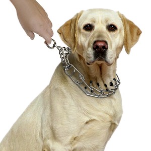 soft prong collar