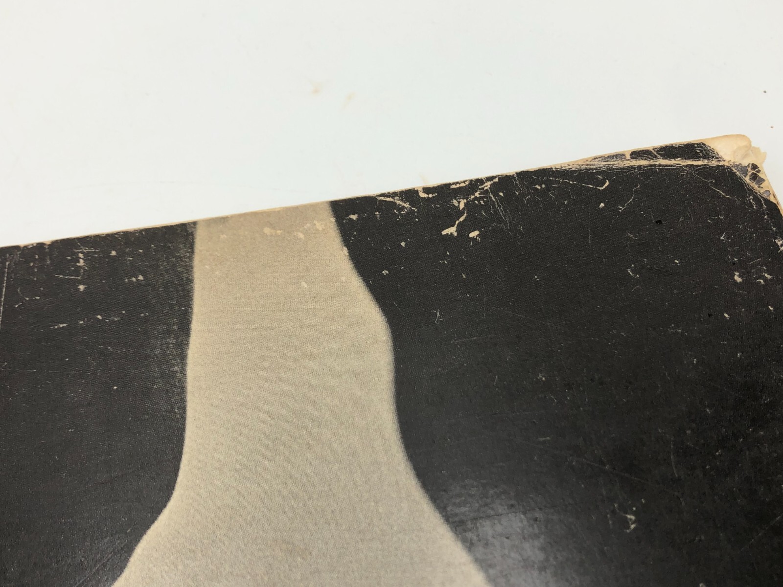 Picture 10 of 12