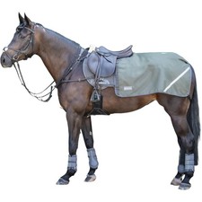 BUSSE Deep Olive 155 Ausreitdecke Rain FX 0g Regendecke