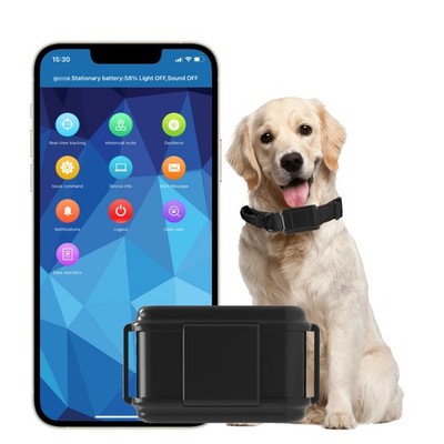 GPS Tracker for Dog with Application Real-time Tracking Collar GPS 4G TK919PR...