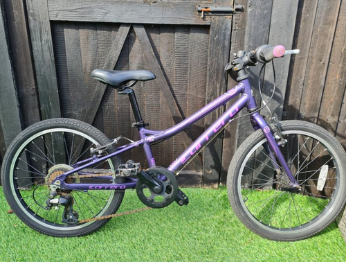 Carrera Saruna Junior Hybrid Bike - 20 