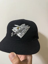 Vintage Eagles Triagle American Needle Rare Sports Specialties Logo Athletic Nfl