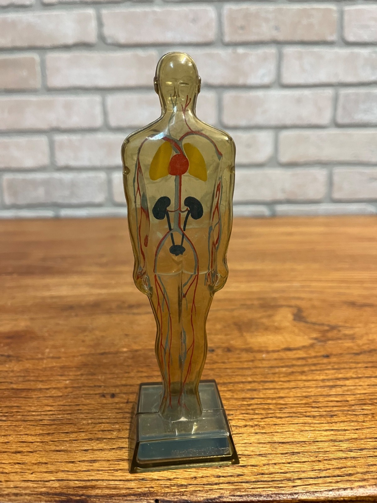 Vintage 1950s Hydro Diuril Merck Sharp Dohme Pharmaceutical Advertising Figure