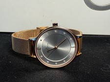 Skagen Anita SKW2151 Women  s Rose Gold Mesh Watch