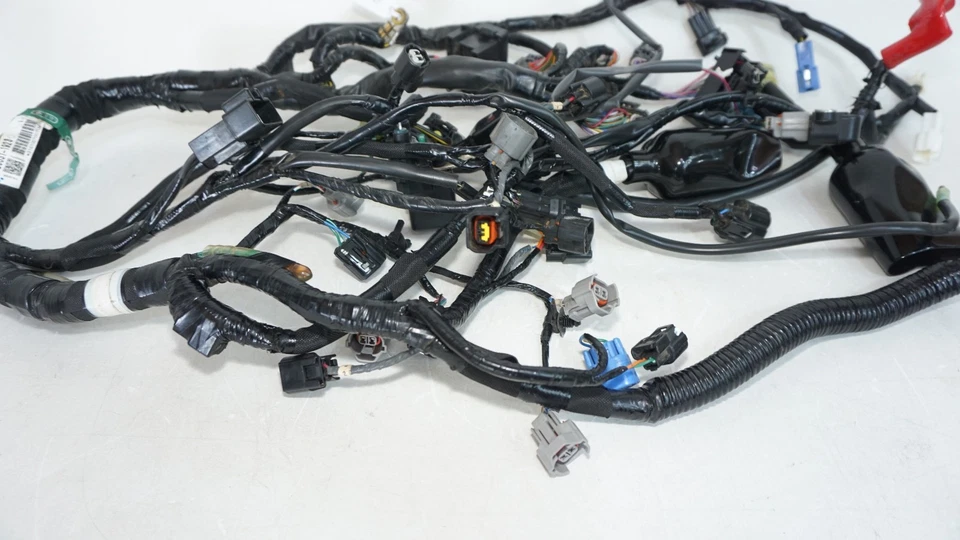 Kawasaki Z800 2013-2016 arnés de cableado principal 308127 sin cortes original OEM Foto 4 de 4