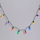 30Ct LED Christmas Indoor Outdoor Novelty String Lights with Green Wire 