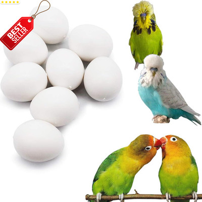 8 Pcs Fake Parrot Eggs Plastic Hatching Budgie Stop Laying 22mm - US