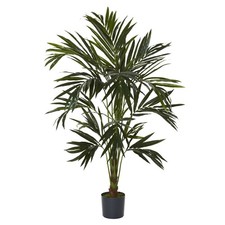 6' Kentia Silk Palm Tree