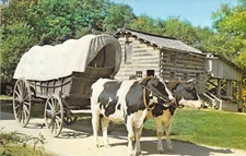Vintage OX team named Babe & Buck Conestoga Wagon Illinois Postcard N29