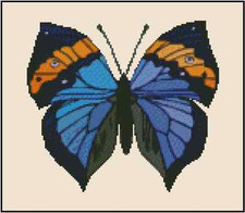 Butterfly Blue and Gold Counted Cross Stitch Chart No.29-101