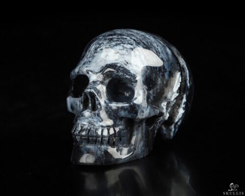 2.0" Black Zebra Agate Hand Carved Crystal Skull, Realistic, Crystal Healing - Picture 1 of 7