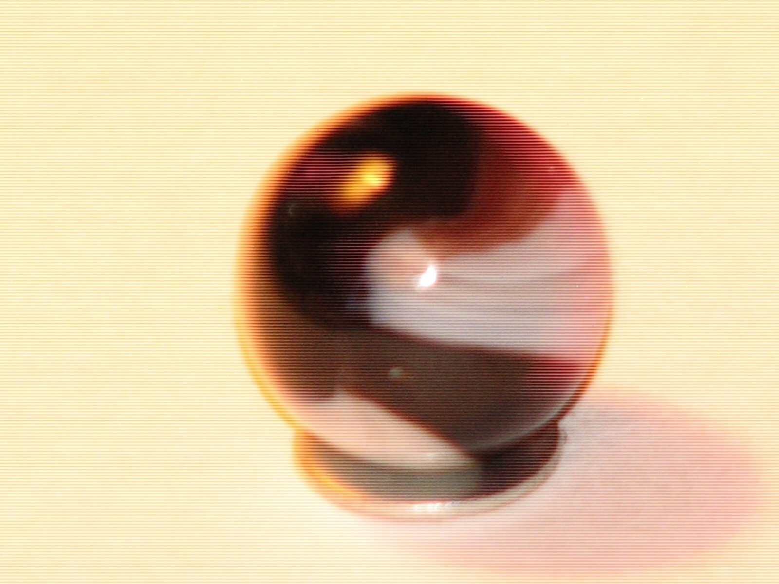 Foto 10 di 10