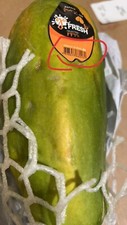 Papaya - Exotic Fruit | Fresh From Brazil. largePapaya (1100g -1200gApprox）pcs 15.61 per kilo
