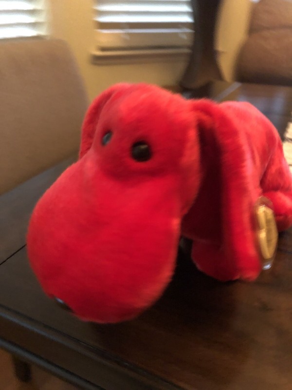 Ty Beanie Buddy - ROVER the Red Dog (12 Inch)- Stuffed Animal Plush Toy W/ Tag