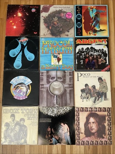 Lot of 12 rock LP albums 60’s 70’s FLEETWOOD Mac Steppwnwolf Argent Manger Mann