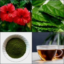 Natural DRIED HIBISCUS LEAVES POWDER/ GUDHAL Herbal Healthy Tea Hair Grow 50g